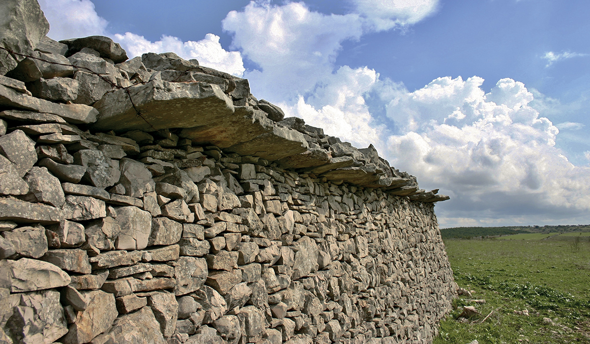 Alta murgia